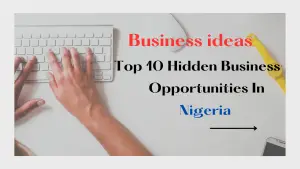 hidden business opportunities in nigeria