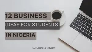 Business Ideas For Students In Nigeria